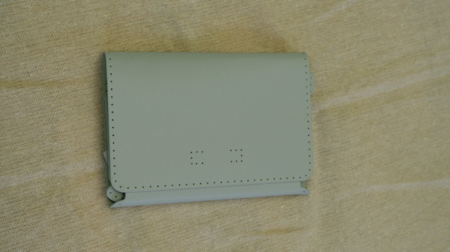Passport Case