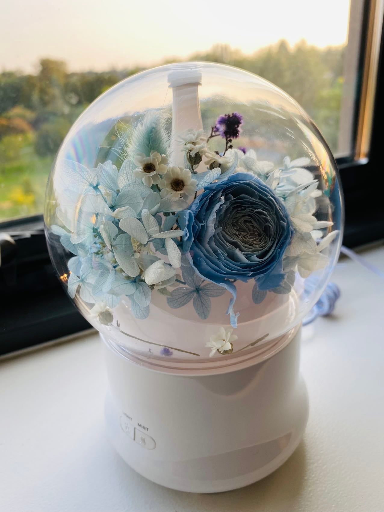 Dried Flower Home Diffuser & Light Workshop