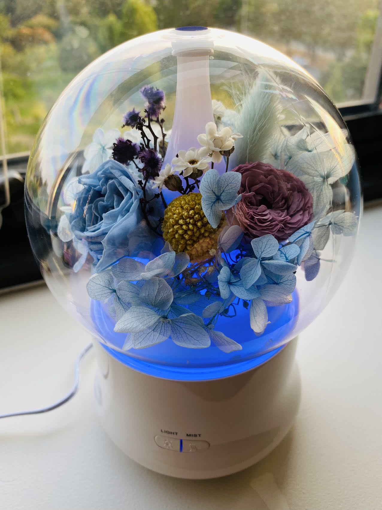 Dried Flower Home Diffuser & Light Workshop