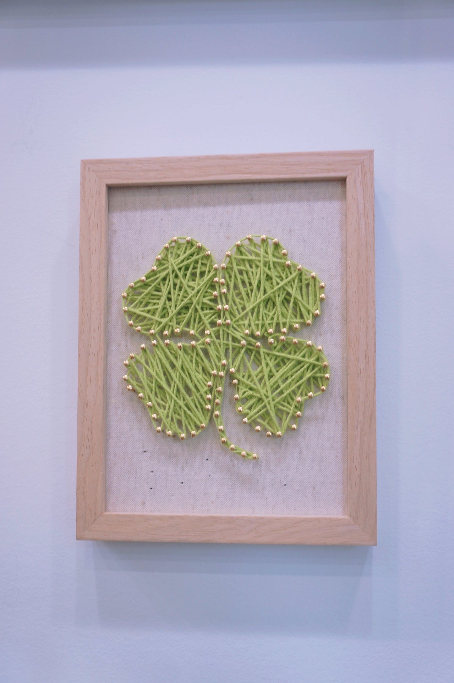 Plants & Fruits - Customized Pattern Framed String Art Workshop