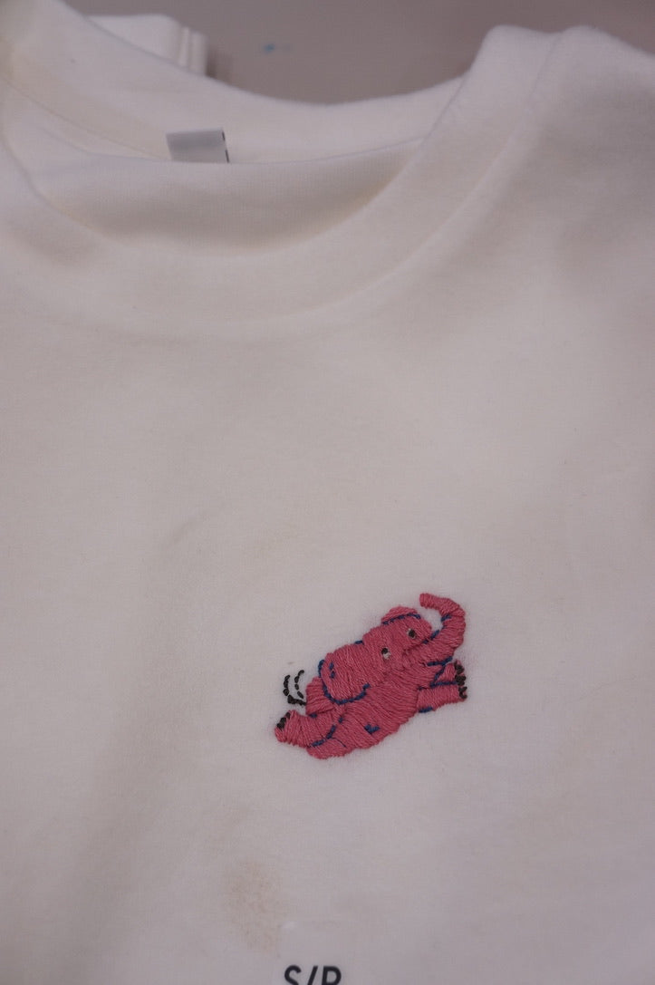 Animals - T-Shirt Embroidery Workshop