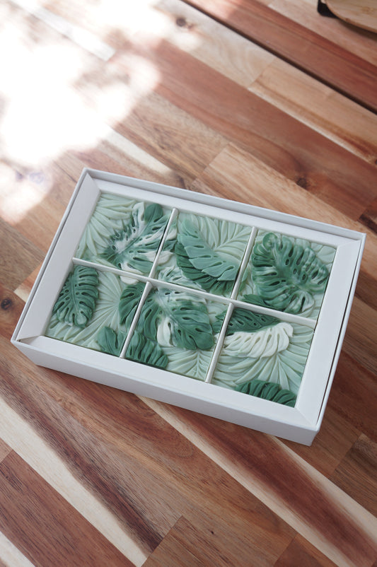 Monstera Cold Process Soap Set