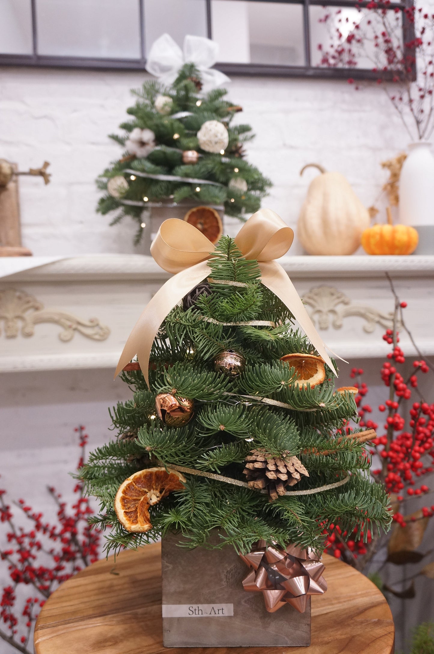 Tabletop Christmas Tree Workshop