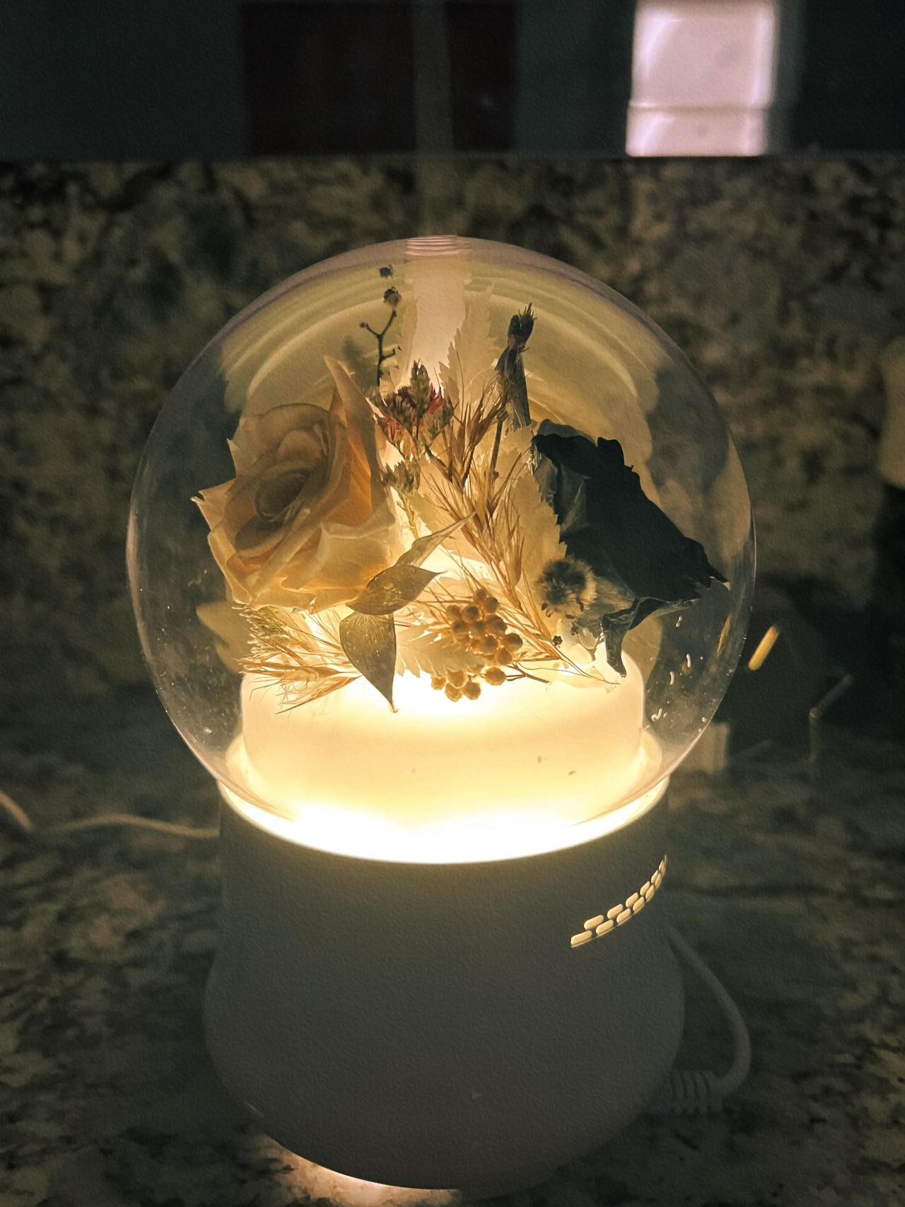 Dried Flower Home Diffuser & Light Workshop