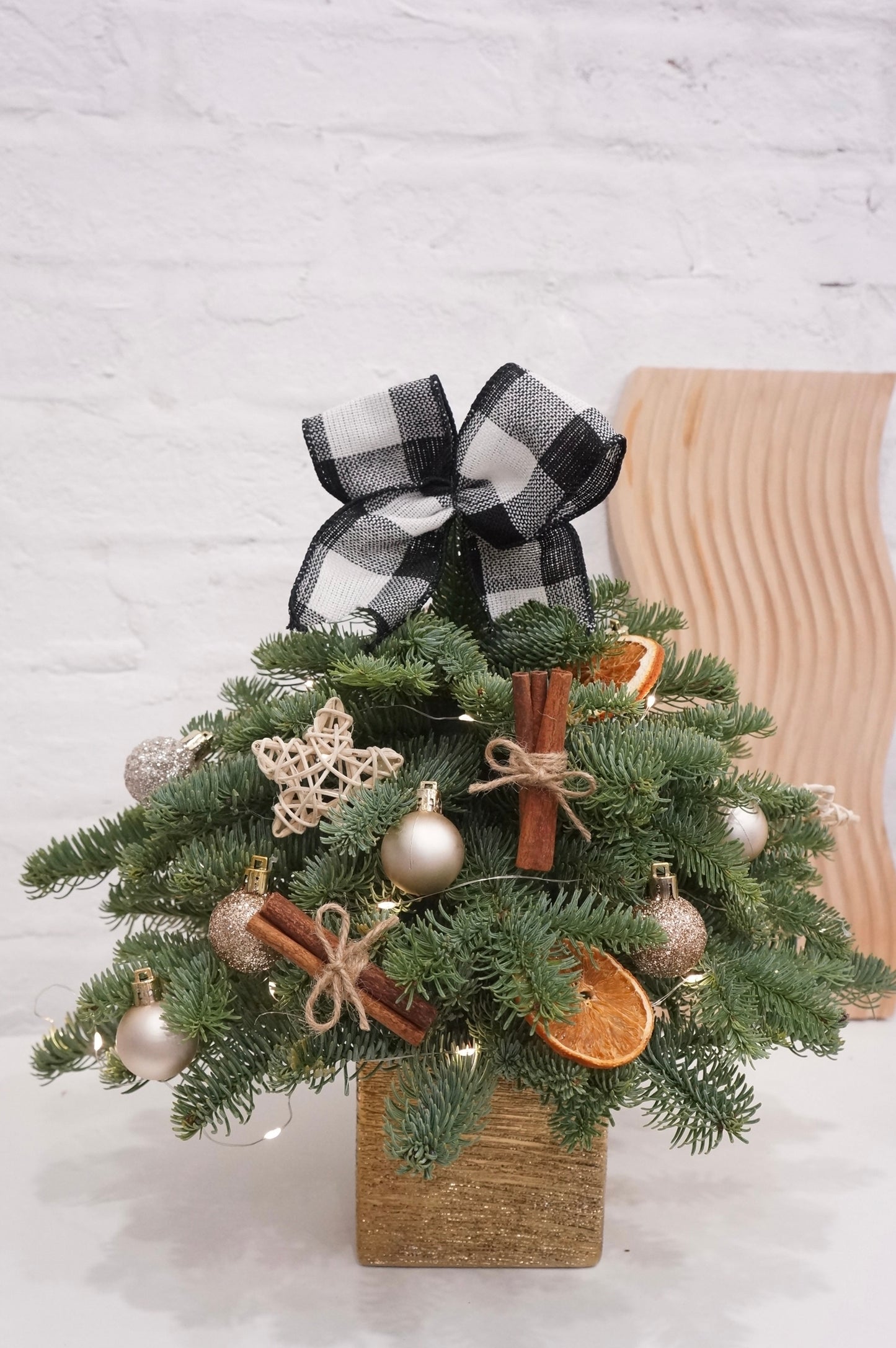 Tabletop Christmas Tree Workshop