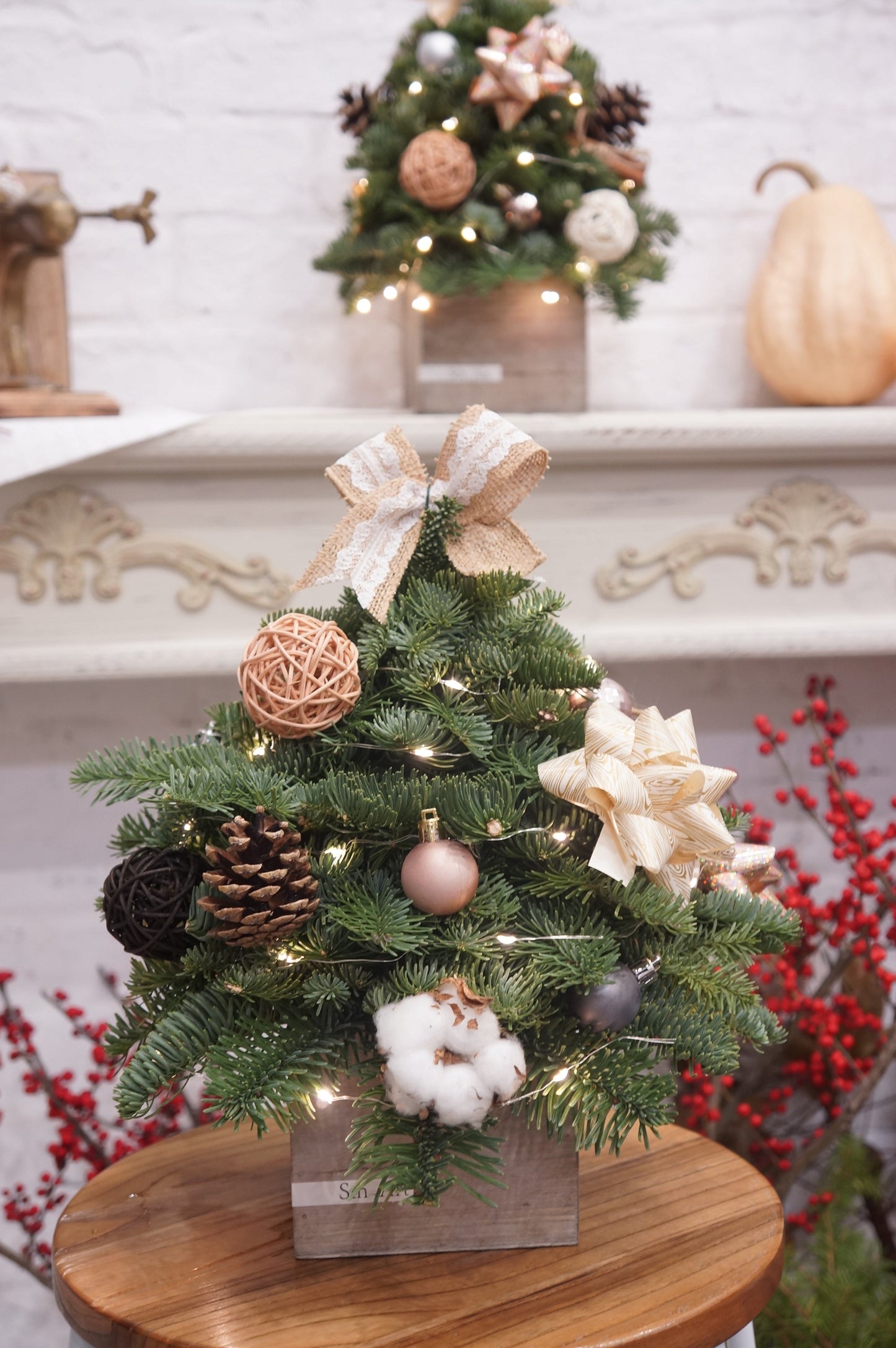 Tabletop Christmas Tree Workshop