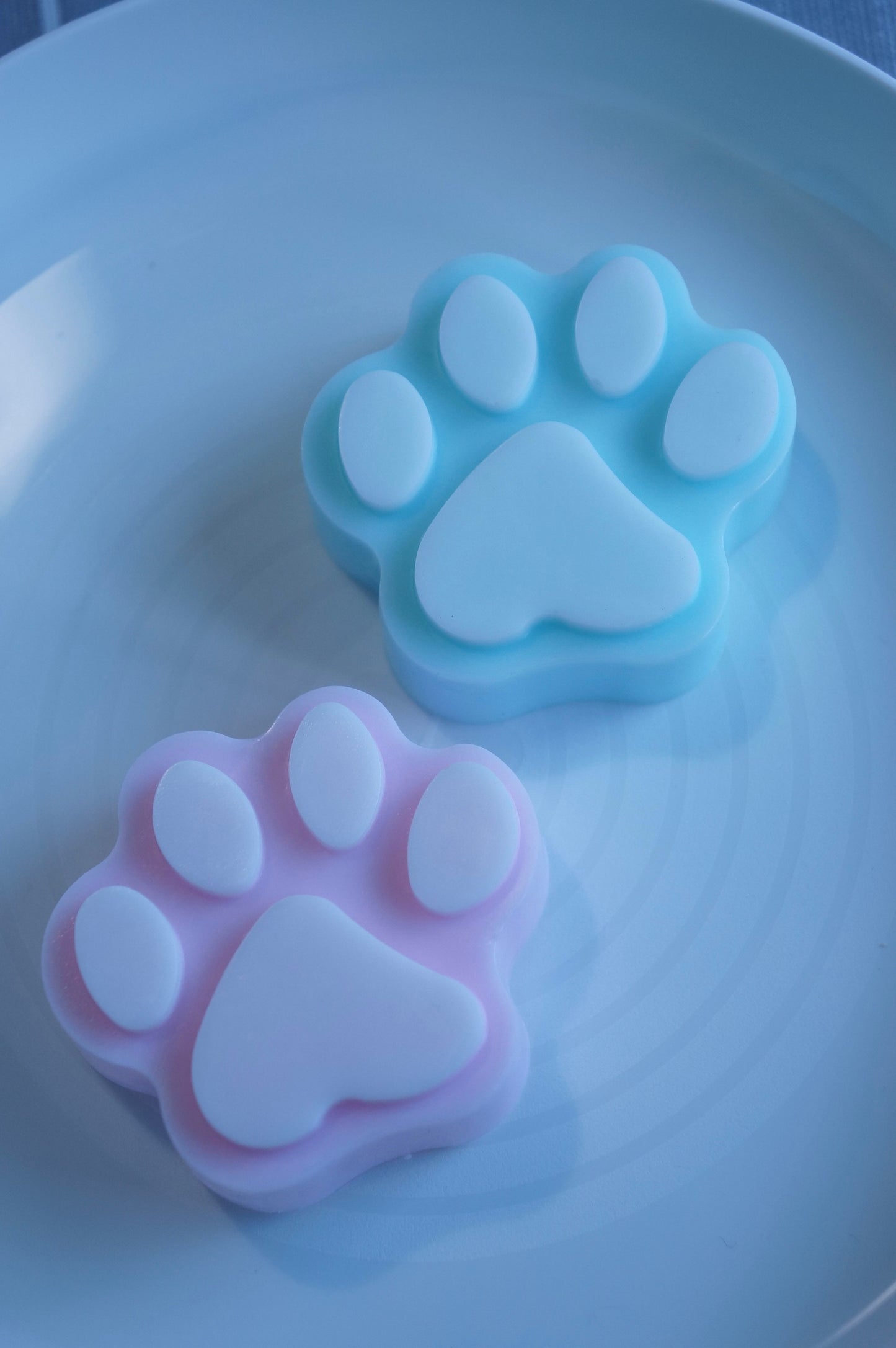 Paws Melt & Pour Soap Workshop