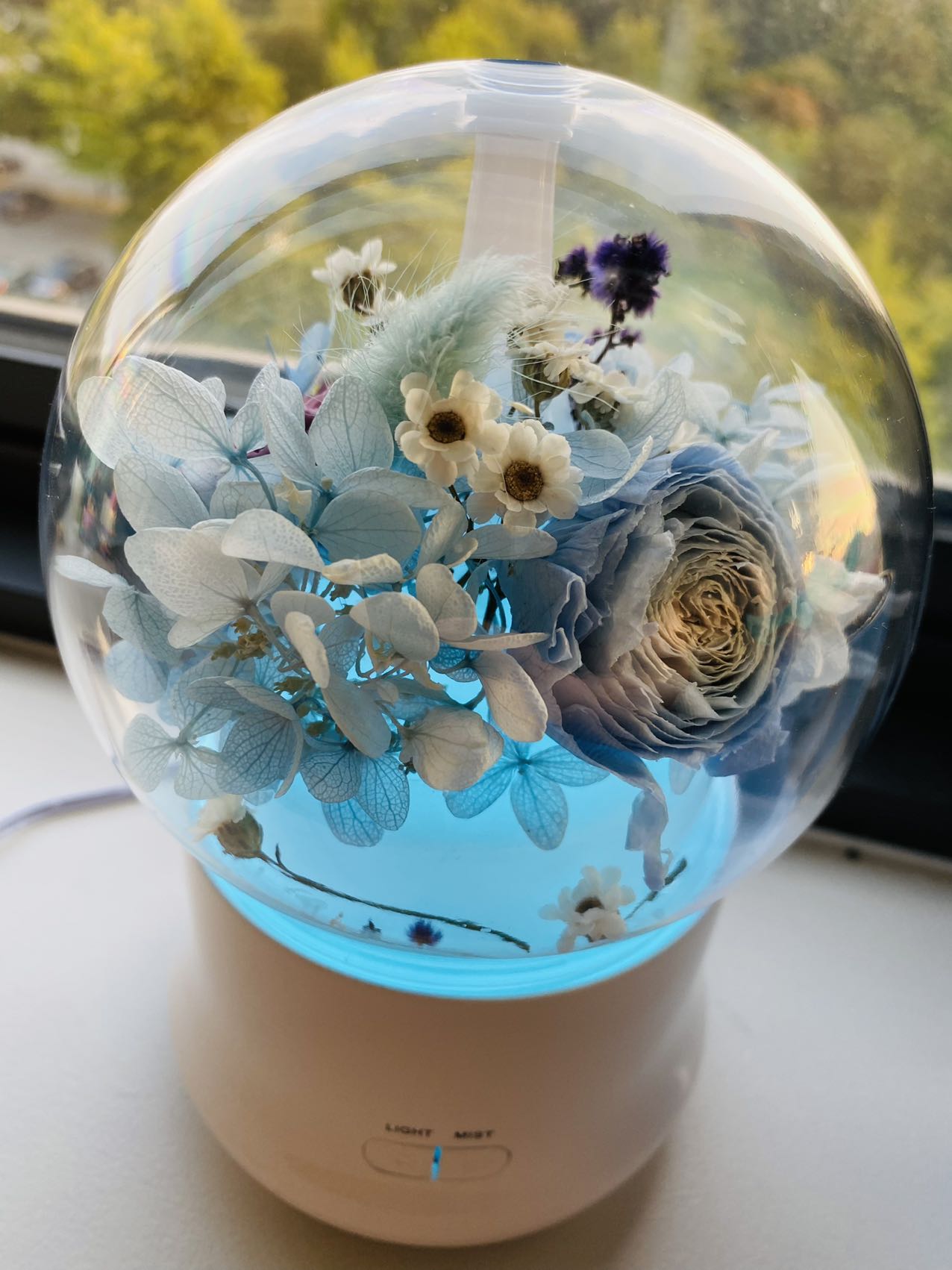 Dried & Preserved Flower Home Diffuser & Light