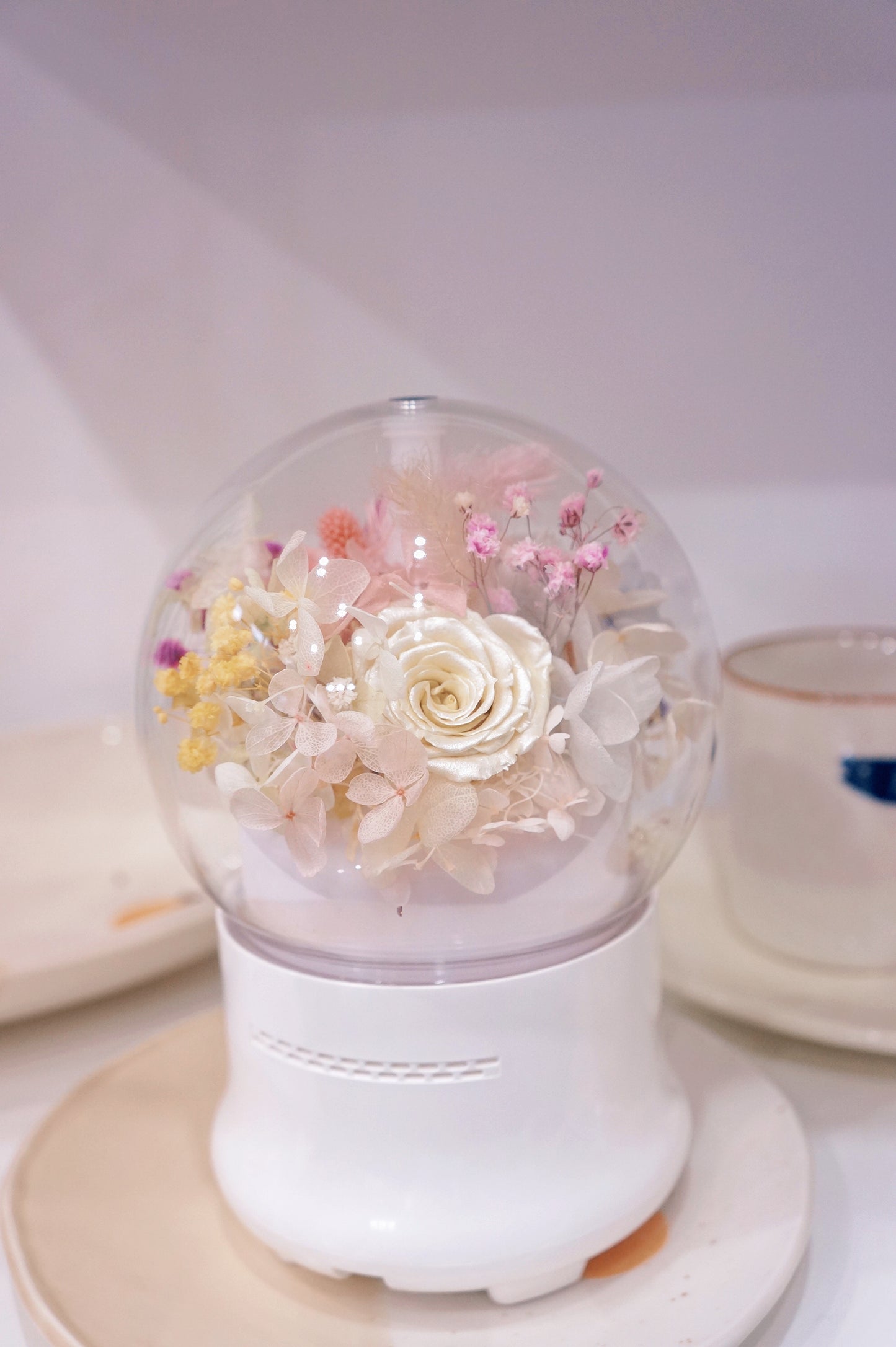 Dried & Preserved Flower Home Diffuser & Light