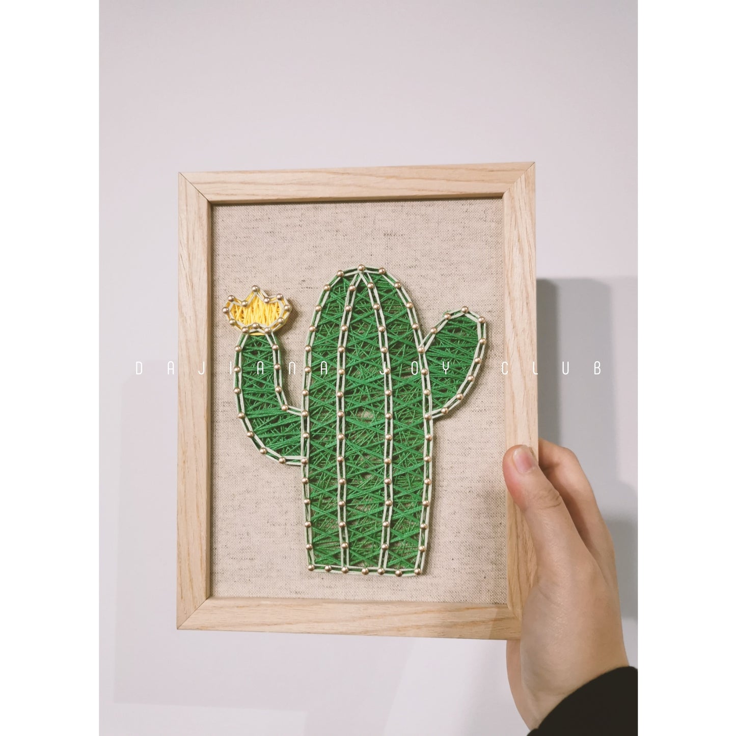 Plants & Fruits - Customized Pattern Framed String Art Workshop