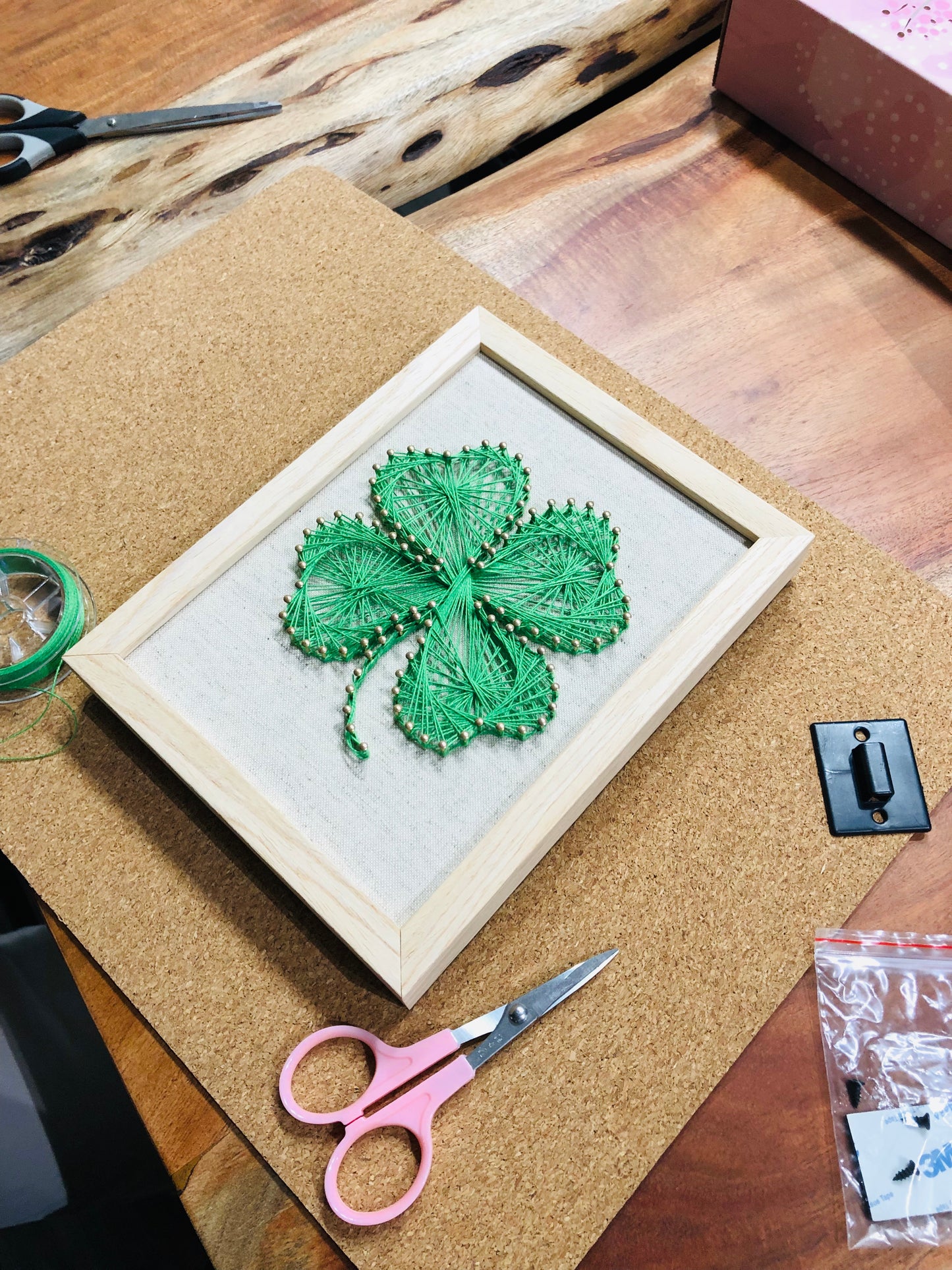 Plants & Fruits - Customized Pattern Framed String Art Workshop